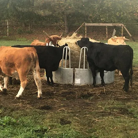 Auf Dem Bauernhof アパート コットブス