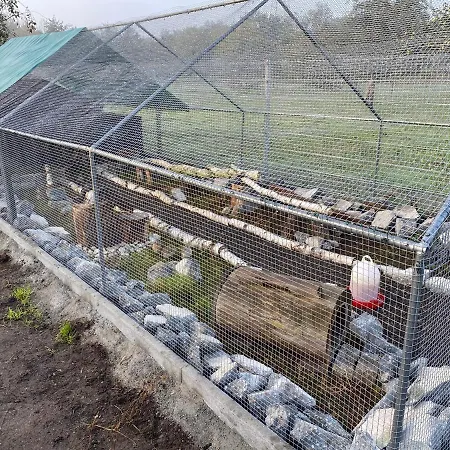 公寓 Auf Dem Bauernhof *