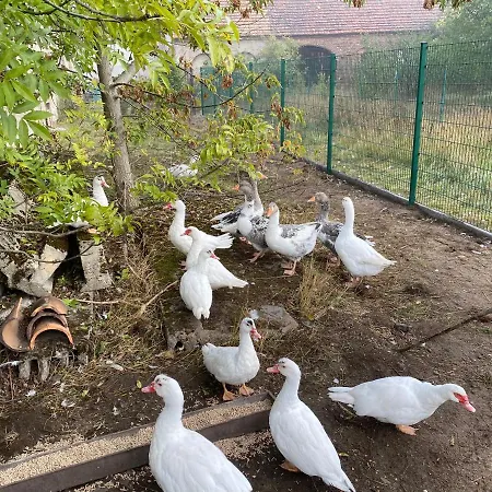 Apartmán Auf Dem Bauernhof Cottbus