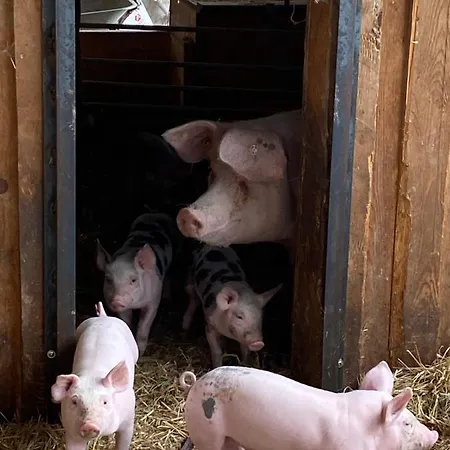 アパート Auf Dem Bauernhof *