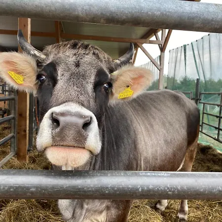 アパート Auf Dem Bauernhof コットブス