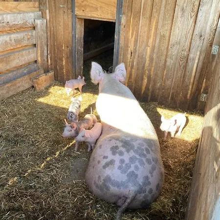 アパート Auf Dem Bauernhof