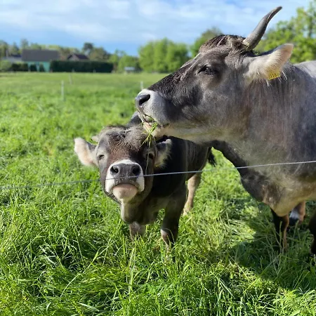 Auf Dem Bauernhof アパート *