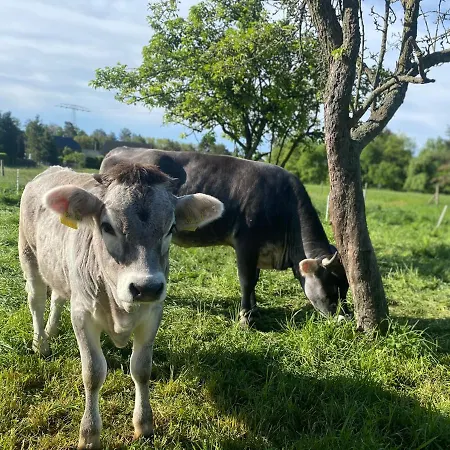 Auf Dem Bauernhof * 科特布斯