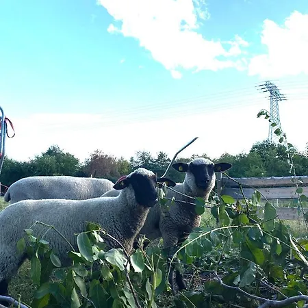 公寓 Auf Dem Bauernhof