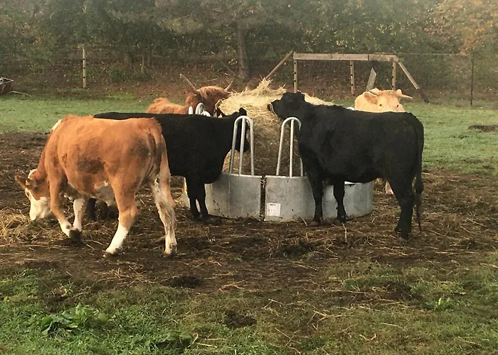 Auf Dem Bauernhof Apartman Cottbus