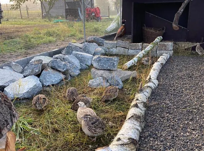 Auf Dem Bauernhof דירה *