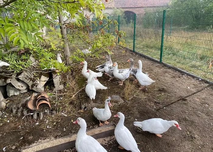Apartman Auf Dem Bauernhof Cottbus