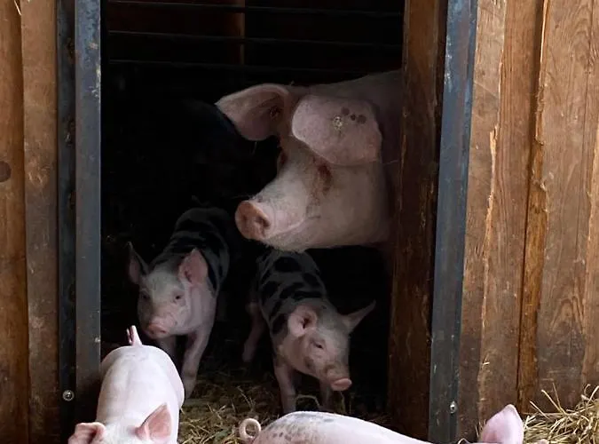 Apartman Auf Dem Bauernhof *