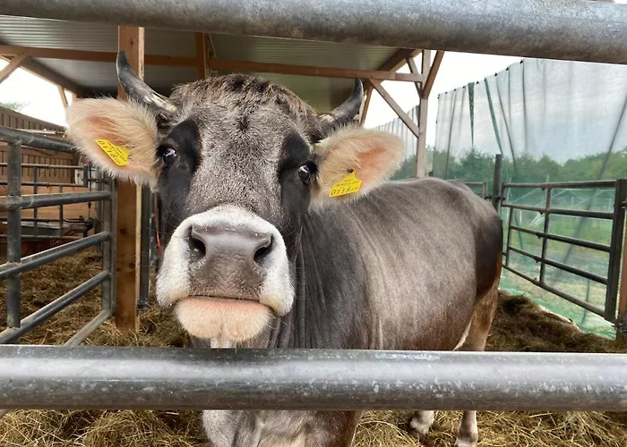 דירה Auf Dem Bauernhof קוטבוס