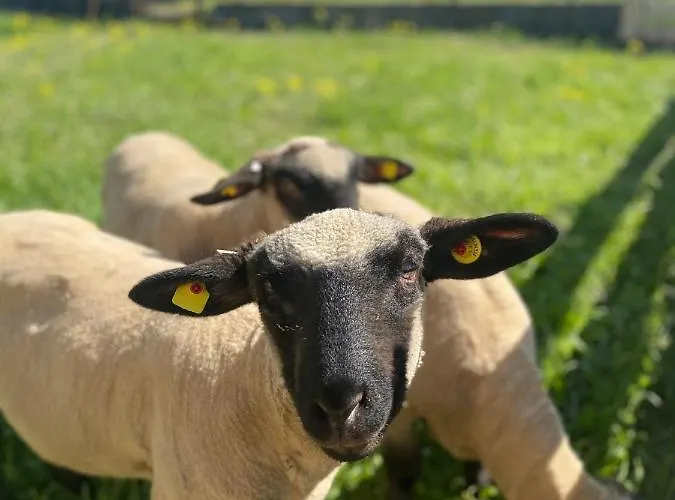 Auf Dem Bauernhof דירה *