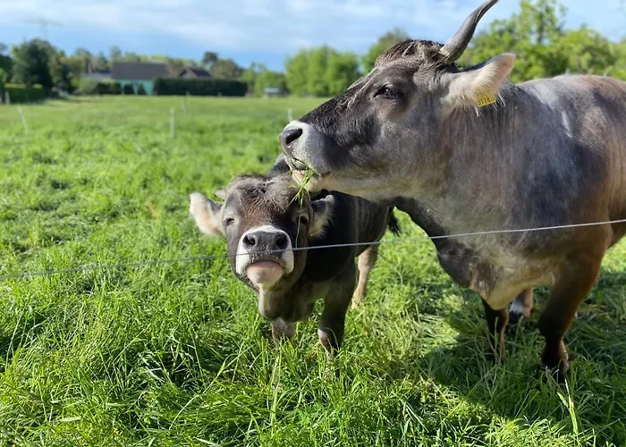 Auf Dem Bauernhof דירה *