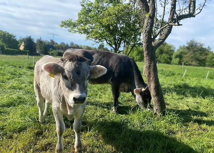 Auf Dem Bauernhof * Cottbus