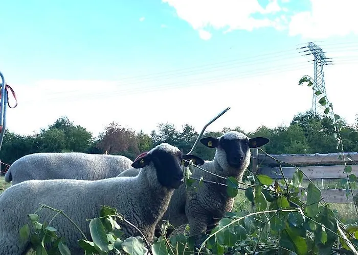 Apartman Auf Dem Bauernhof